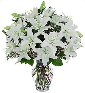 10 kazablanka �i�e�inden vazo tanzimi